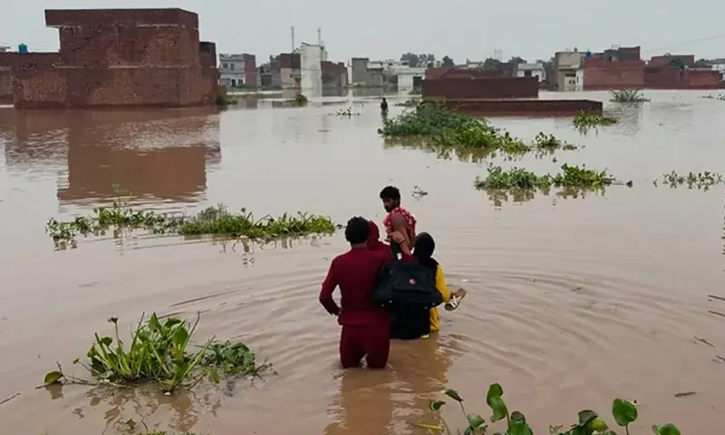 Rivers may swell again as fresh monsoon spell arrives