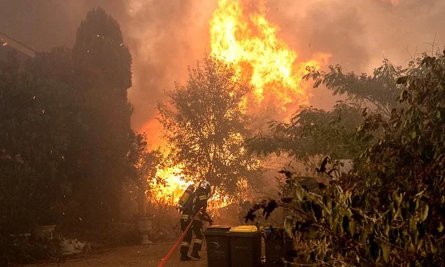 Brits flee from French cape inferno: Tourists describe 'enormous' flames during escape from wildfire as 40,000 are evacuated from burning peninsula
