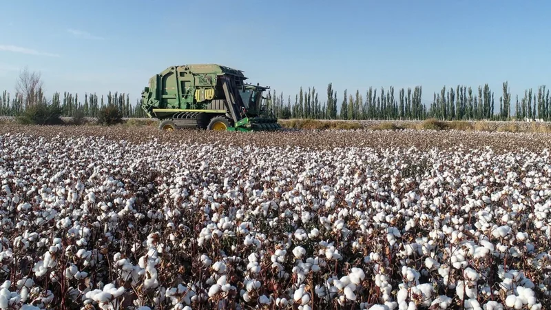 US adds 43 Chinese companies to Uygur forced labour blacklist