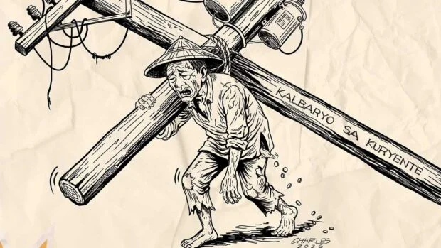 DOE: Scrapping ‘system loss’ charge may take a year