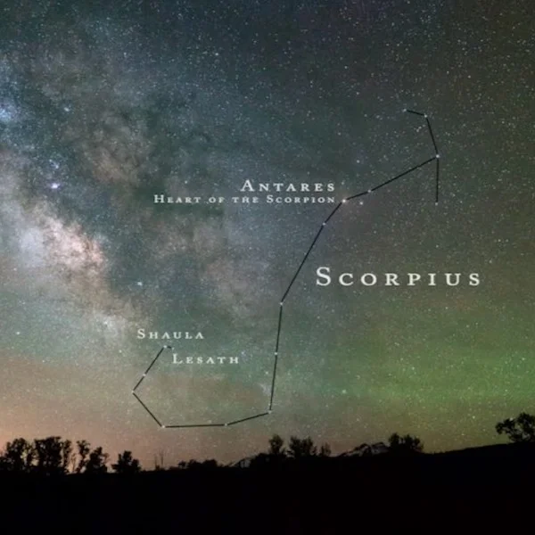 Meet Shaula and Lesath, the Scorpion’s Stinger stars