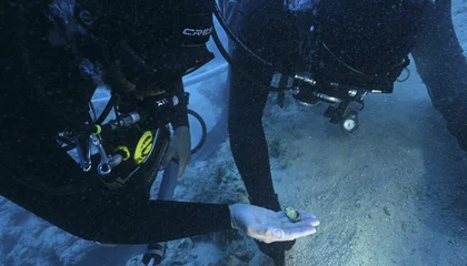 This Medieval Byzantine Shipwreck Boasts More Gold Treasures Than Any Other Vessel Found Beneath the Mediterranean