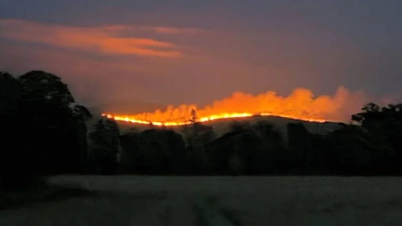 Tipperary wildfire spreads to forestry plantation as Coillte appeal to public to stay away