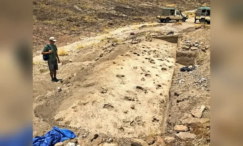 Kenyan footprints shed light on prehistoric human cousin Paranthropus