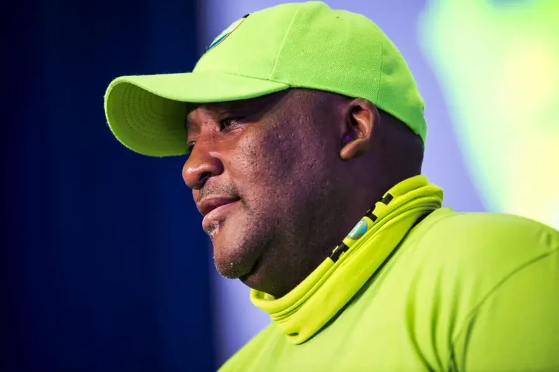 High Court reinstates National Arts Council, suspends McKenzie's dissolution