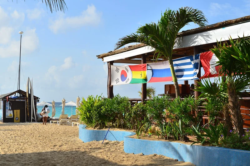 Sargassum Shuts 70 Tulum Businesses as Beaches Close