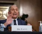 Fauci to face Republican questions over Covid pandemic origins – US politics live