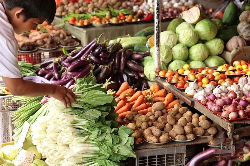 Inflation, wages still top concerns of Pinoys – OCTA