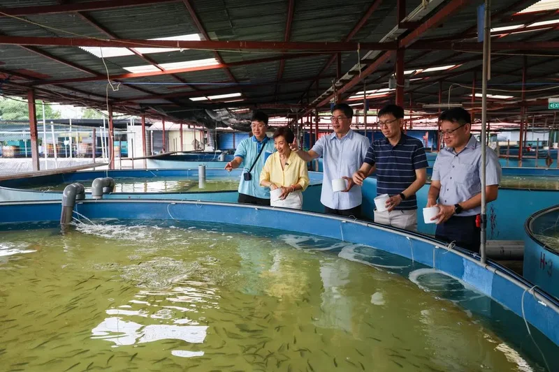 New grant launches to help S’pore farms offset rising costs from the Middle East crisis