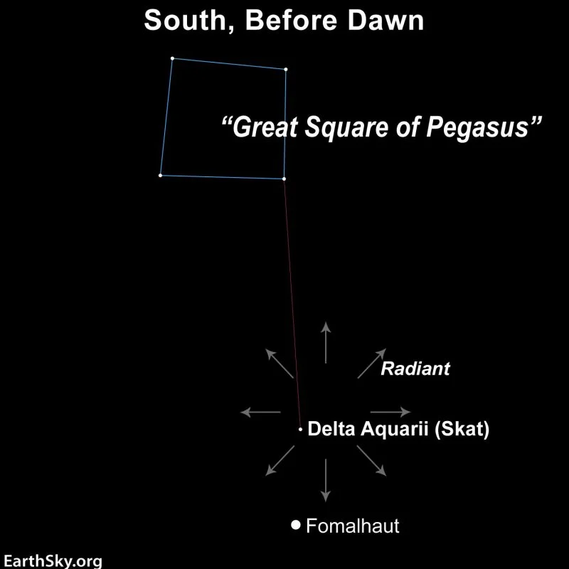 Delta Aquariid meteor shower: All you need to know in 2026