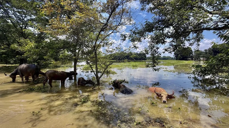All Assam MLAs pledge one month salary for flood relief except for Raijor Dal members