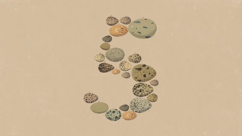 Anthropic Releases Claude Opus 5 to Be Your New ‘Everyday’ Assistant