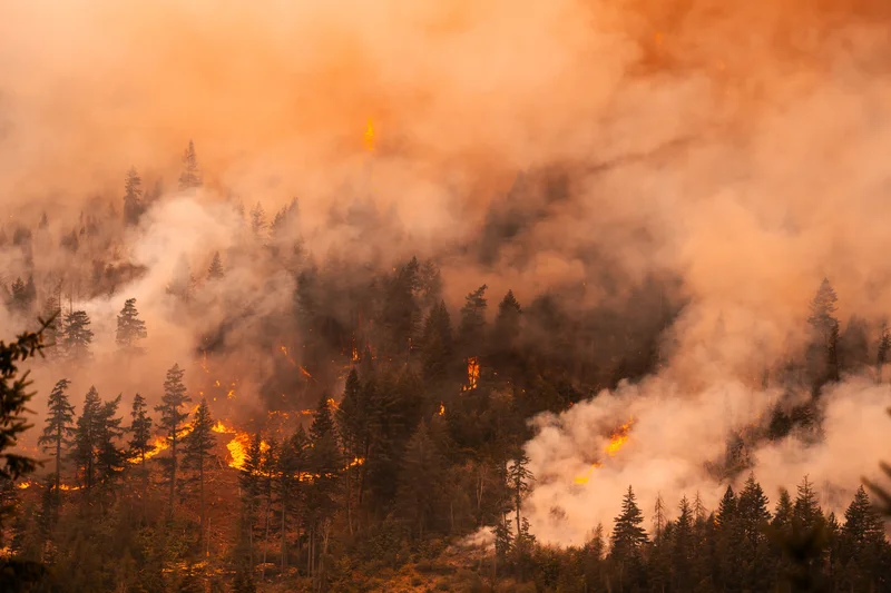 Photos show wildfires raging across parts of British Columbia
