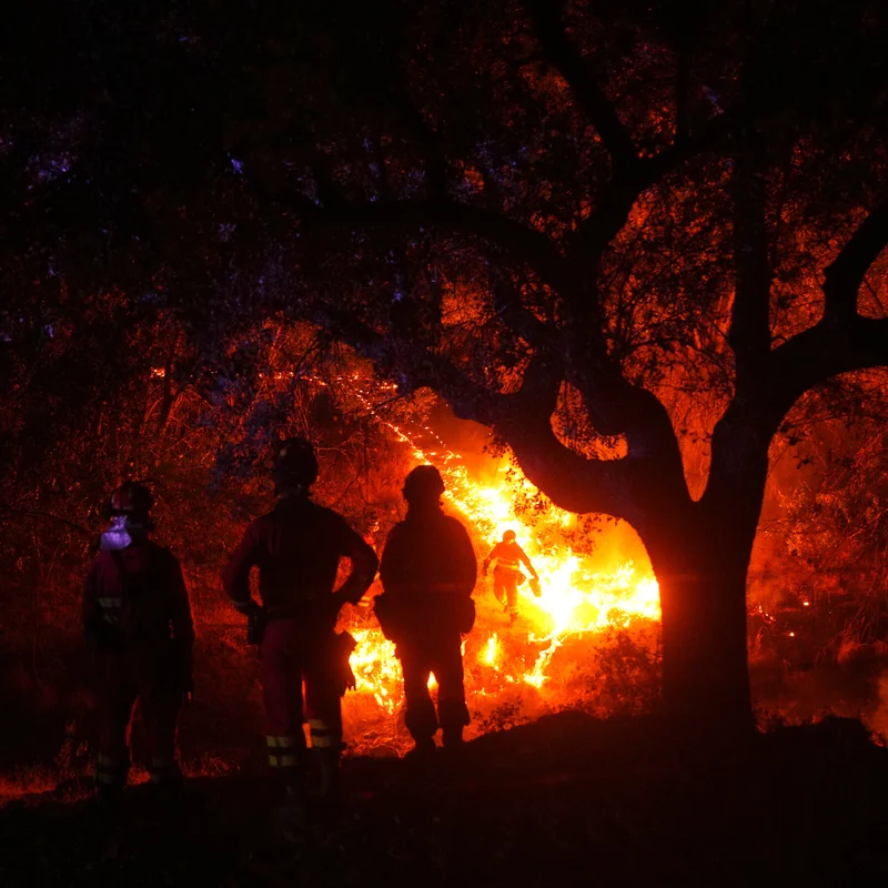 France and Spain Race to Tamp Down Wildfires Before Heat Wave Hits