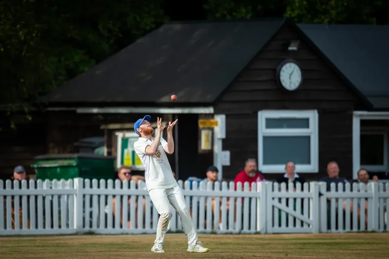 Row erupts in New Forest over cricket club’s ‘appalling’ plan to install artificial grass