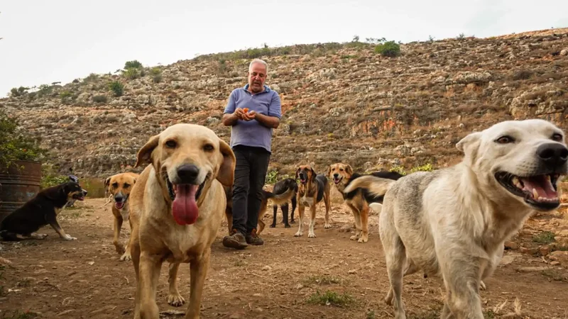 Dog saved him from bomb; now he saves Lebanon’s abandoned animals