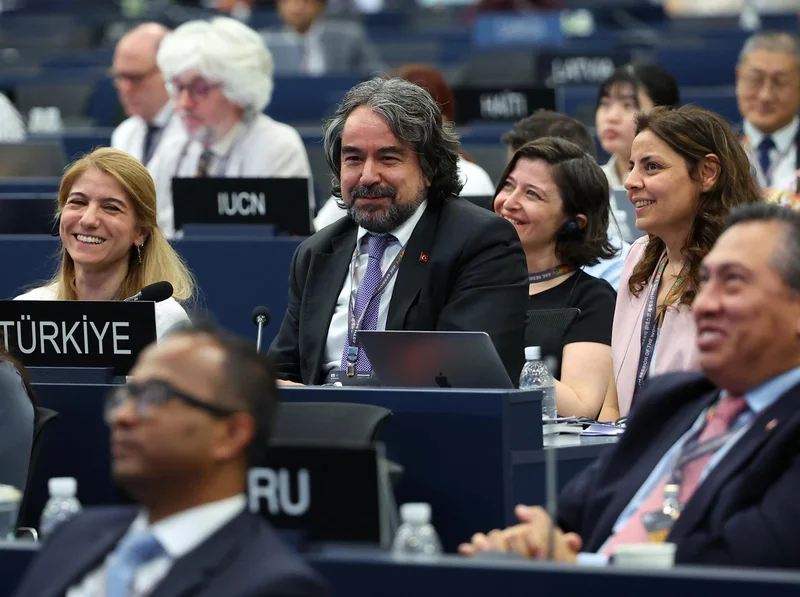 From Busan to the world: A new chapter for global heritage cooperation