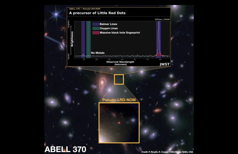 A Distant Primordial Object May Be a Newborn Little Red Dot