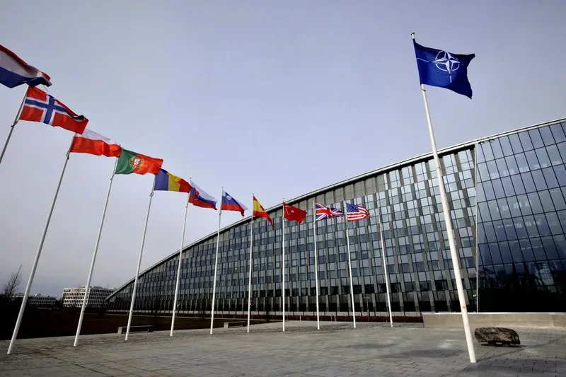 Minister vows probe of ‘quite serious’ charges against Canadian NATO intern