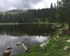 How the kidnapping of two forest service workers unfolded in California