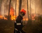 Will brutal wildfires force French leaders to take climate crisis seriously?