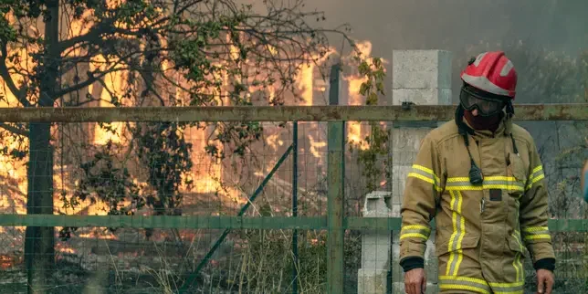 France fires: 'What burns is not just forests, but a way of inhabiting the land that is no longer possible'