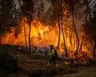 Europe is burning – and if Trump’s war on the climate is not met with sanctions, things will only get worse | Alexander Hurst