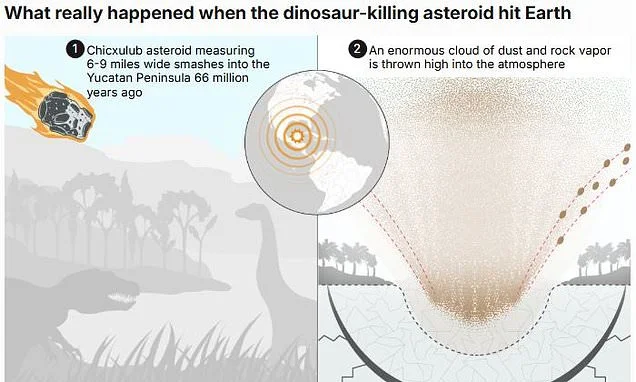 What really happened when the dinosaur-killing asteroid hit Earth: Worldwide fires incinerated most animals within HOURS - before a global winter wiped out any survivors, study finds