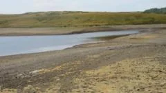 Drought declared across whole of Wales as conditions 'deteriorate'