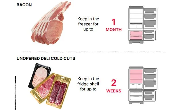 How to store food properly during a heatwave: Experts reveal the mistakes that lead to gone-off groceries - and why you should keep eggs in the FREEZER