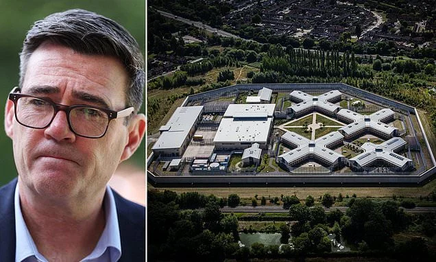 Andy Burnham is urged to repurpose women's jails for men only instead to help ease prison over-crowding crisis - after pausing early release scheme