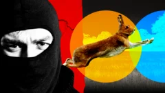 Gangs, violence and dumped dead animals: The hidden world of illegal hare hunts