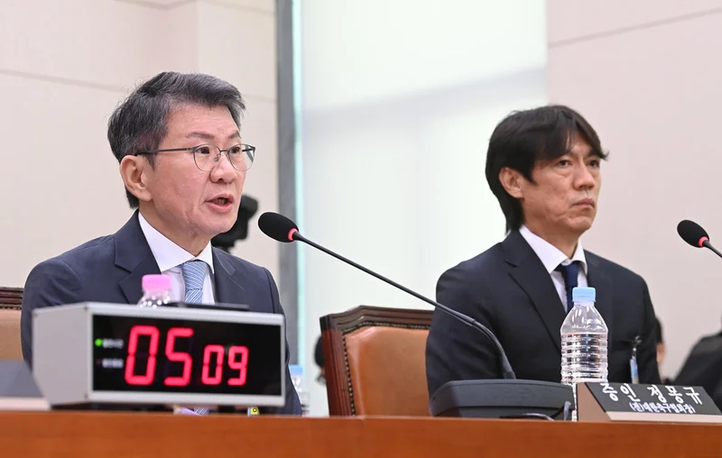 Ex-football federation chief, nat'l team coach grilled in parliamentary hearing