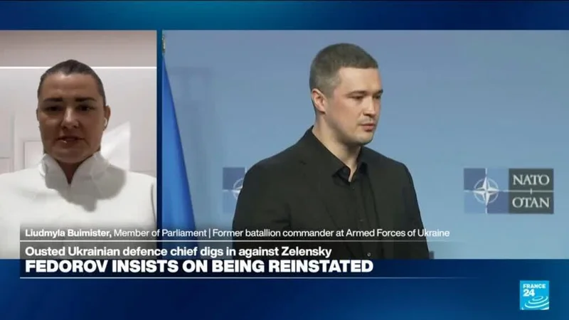 Reinstating Fedorov 'only right decision Zelensky can make', MP says