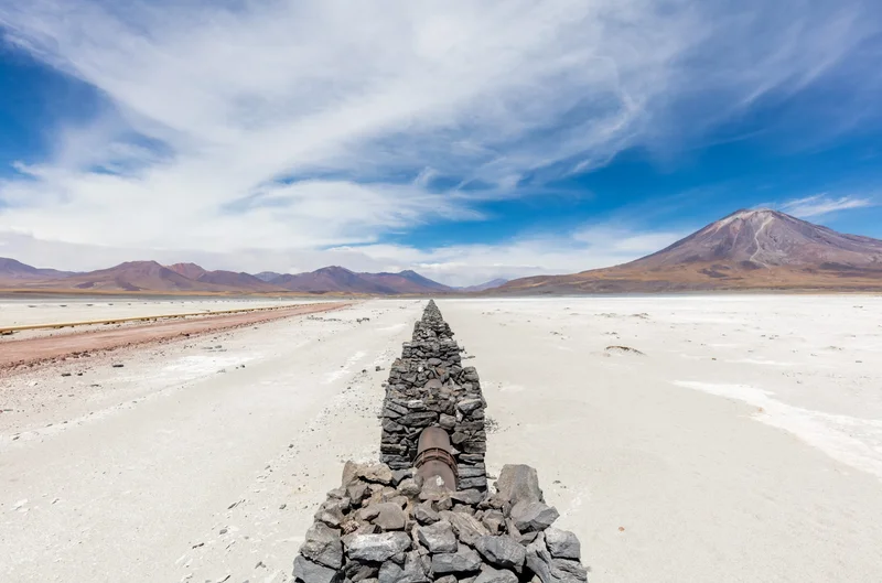 Five Groups Fight for Argentina’s Biggest Gas Distributor