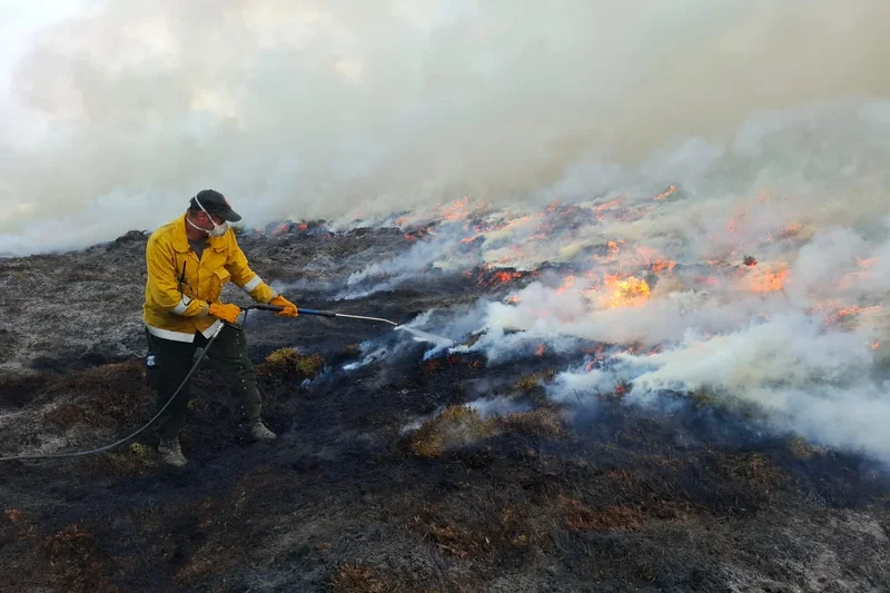 We’re wildfire experts. Here’s what the UK can learn from Australia