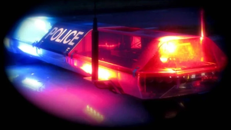 Man critically injured in suburban fight