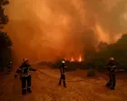 How dangerous are wildfires and how can we stop them from getting worse?