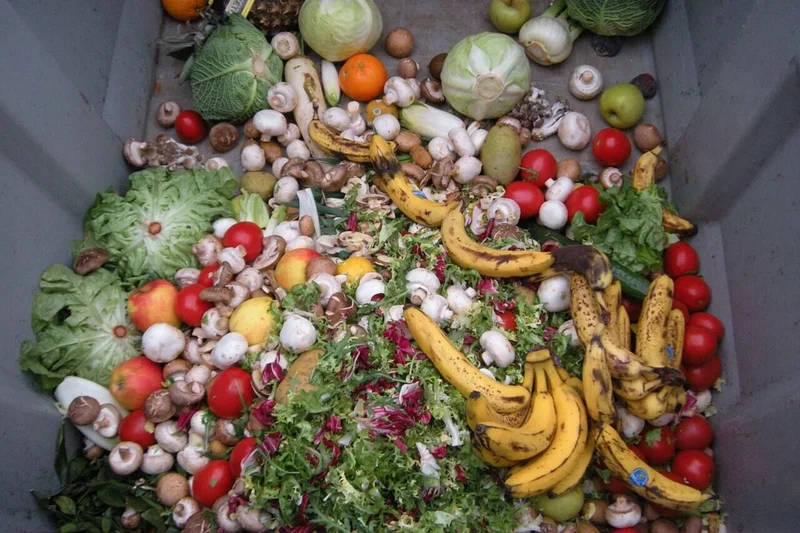 The Fix for Food Waste Comes With a Major Catch