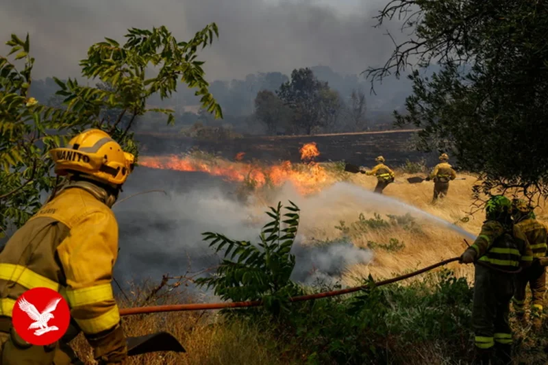 Homes go up in flames as wildfires tear through Spain