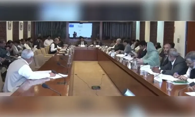 Senators question devolved ministries’ ‘revival’