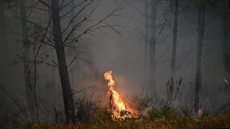Wildfire leads to evacuations in some suburbs of French city of Bordeaux