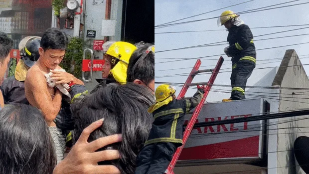 SILOY IS WATCHING: Firefighters save stranded cat amid Tisa blaze