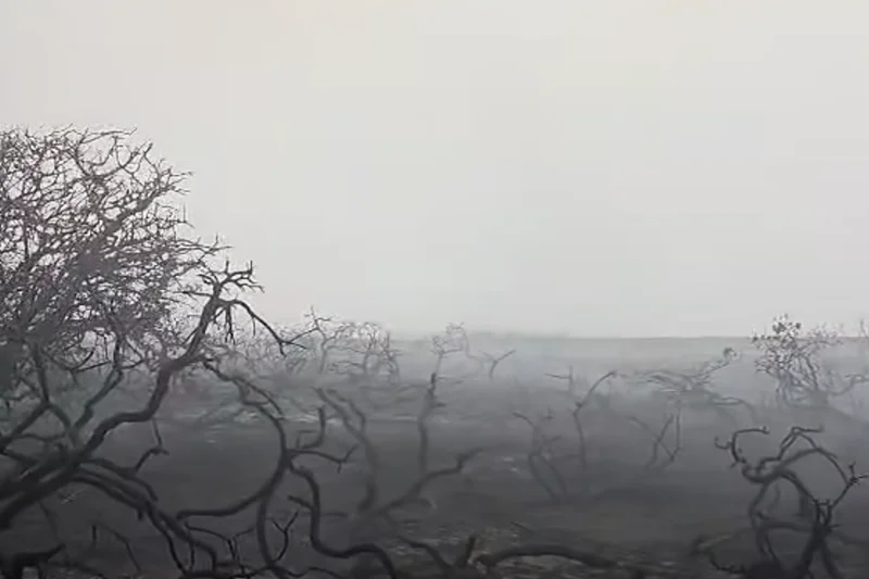 Suffolk wildfire: Smouldering aftermath captured on camera as blaze continues to spread