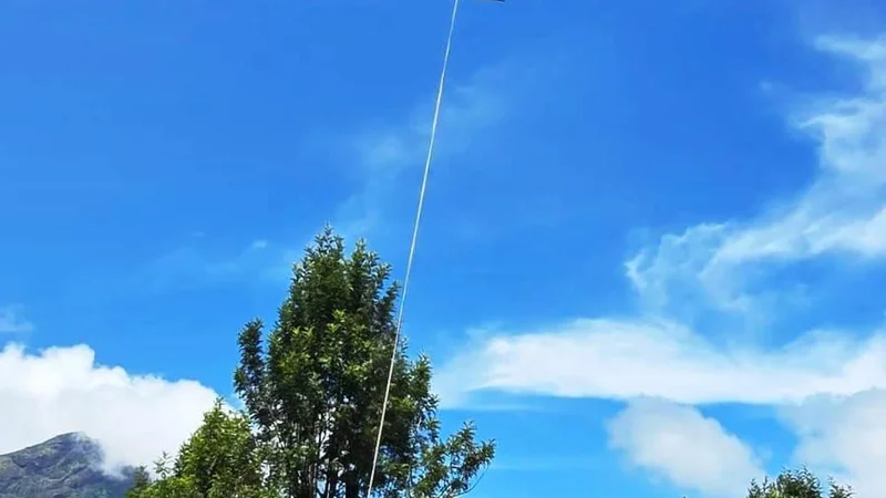 A first in Kerala: Munnar tea company uses drones to move harvested leaves