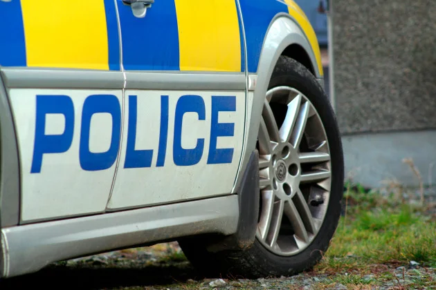 Two men arrested in connection with attacks on Co Down homes with families inside