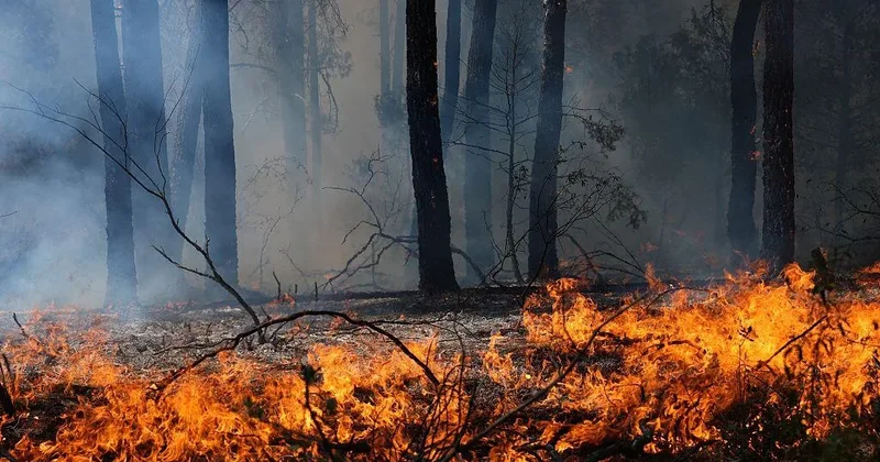 Wildfires in France and Spain force 200,000 to flee