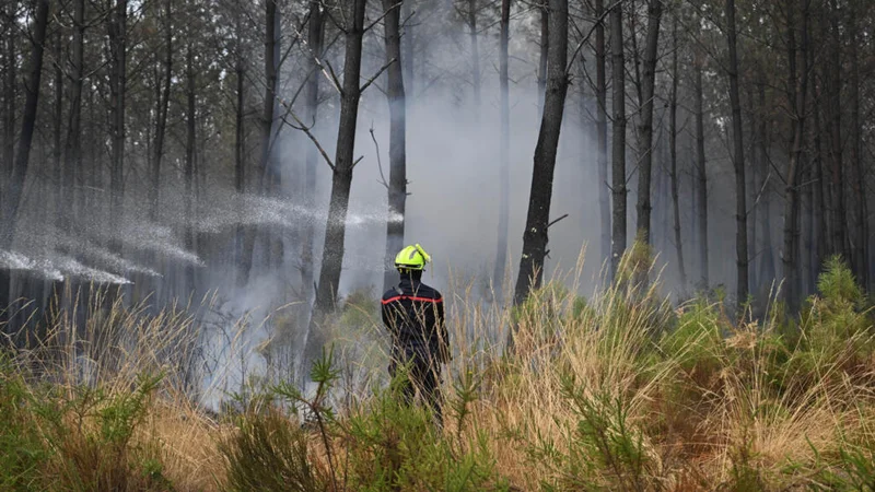 Monster fires spark debate over France's forest management