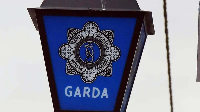 Man (20s) arrested in connection with disappearance of man (60s) in Dublin