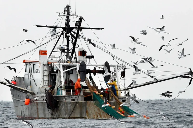 NOAA report finds Gulf of Maine warming slowed for now, but ecosystem remains unstable